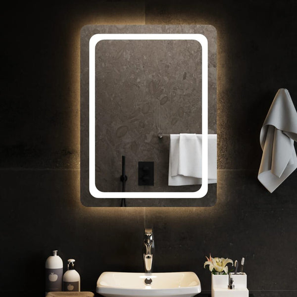 Miroir de Salle de Bain à LED 60x80 cm